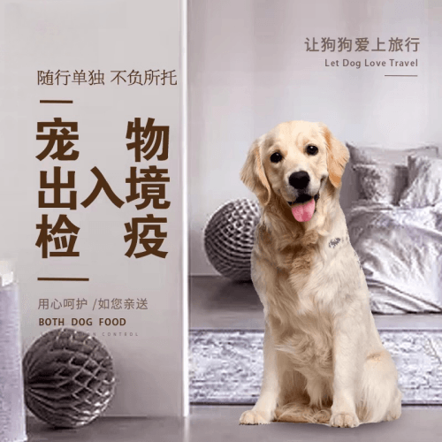 阿克苏地区宠物托运到哥伦比亚猫狗宠物入境规定和