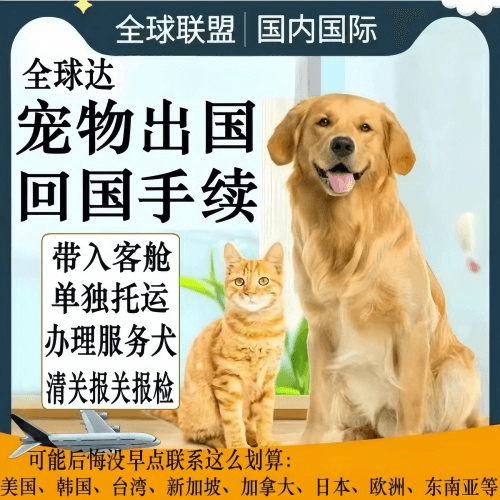 阿克苏地区宠物托运到柬埔寨宠物入境规定和要求