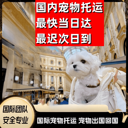 阿克苏地区到澳大利亚（澳洲）宠物入境规定和要求