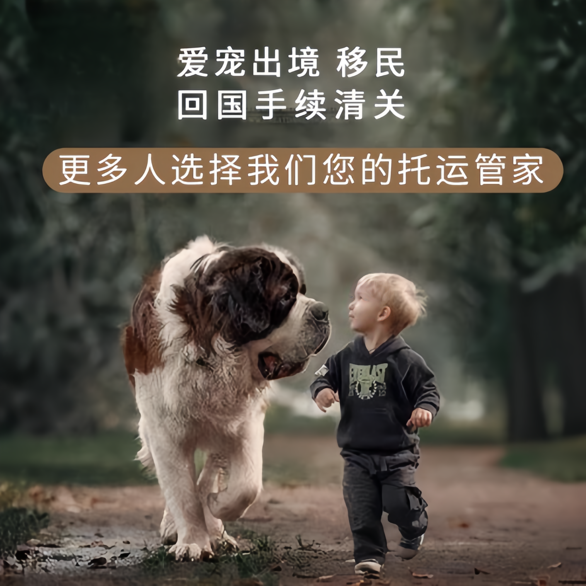 满财阿克苏地区宠物全球达宠物托运在遵守入境目的地政策的条件