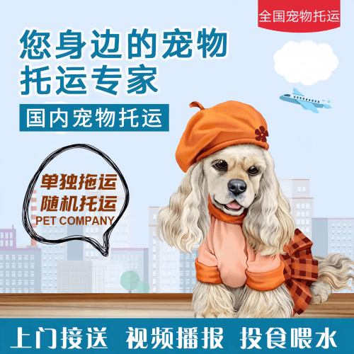 满财阿克苏地区宠物全球达宠物托运作为专业的宠物运输代理机构